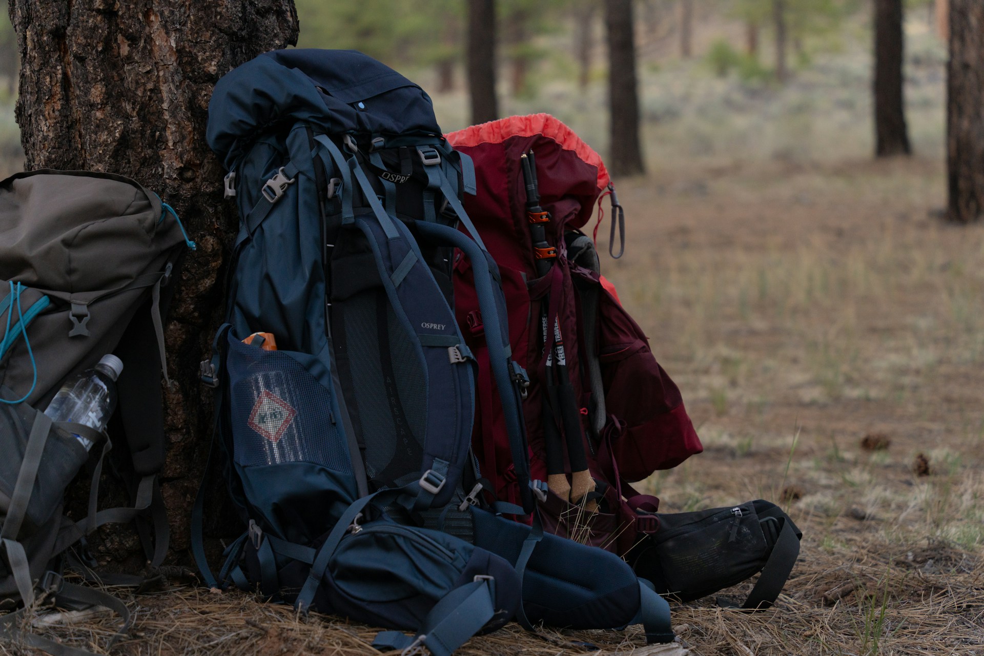 Best Hiking Gear for Beginners